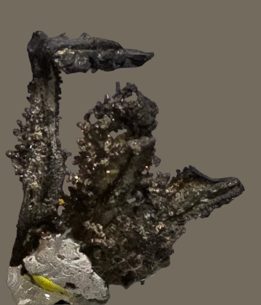 SILVER (miniature)