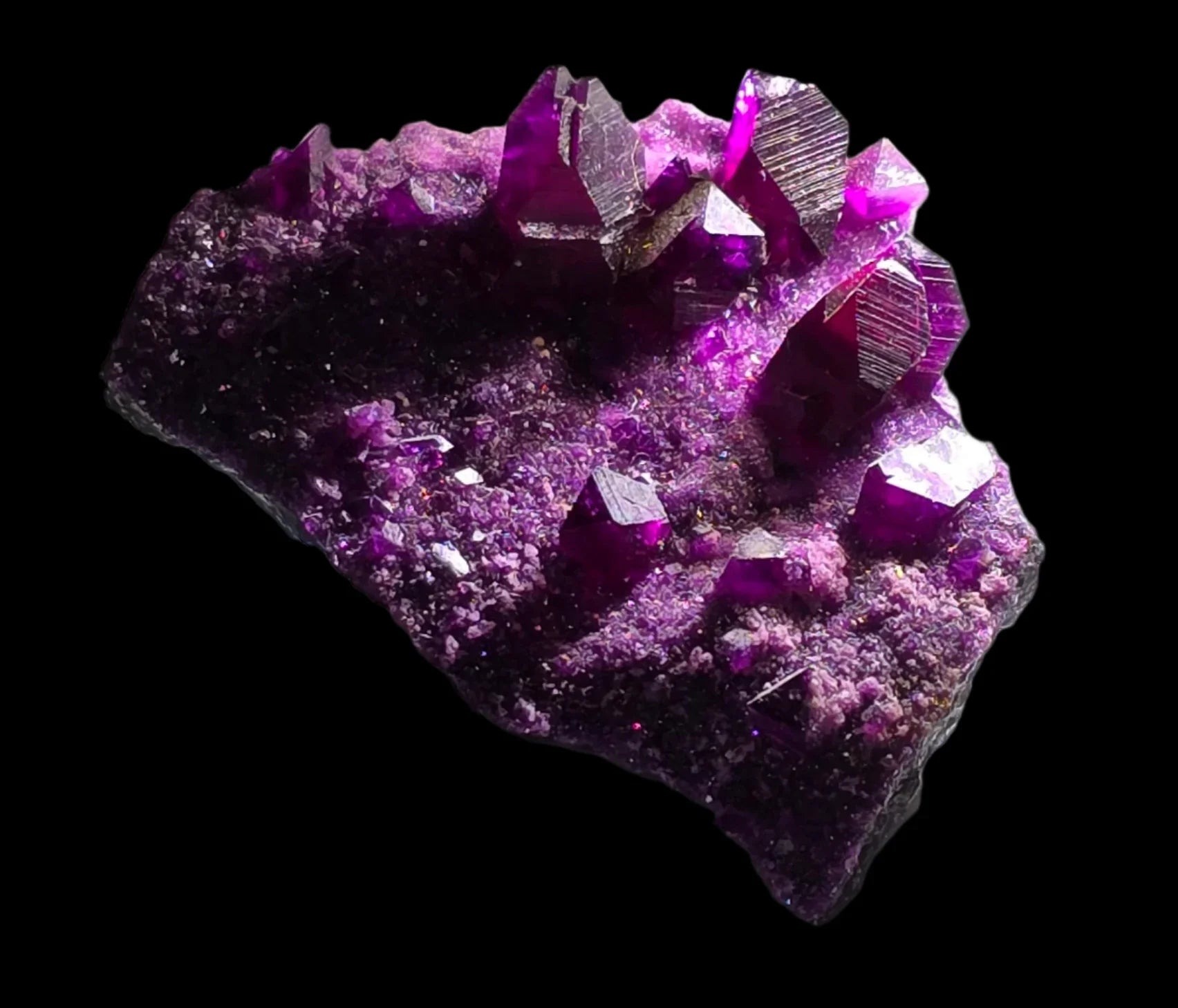 Fluorite crystal specimen with vibrant purple cubes on matrix, classic mineral collector piece
