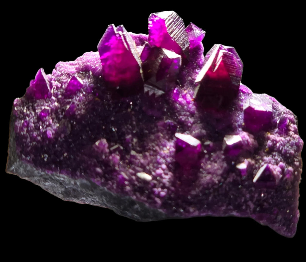 Fluorite crystal specimen with vibrant purple cubes on matrix, classic mineral collection piece