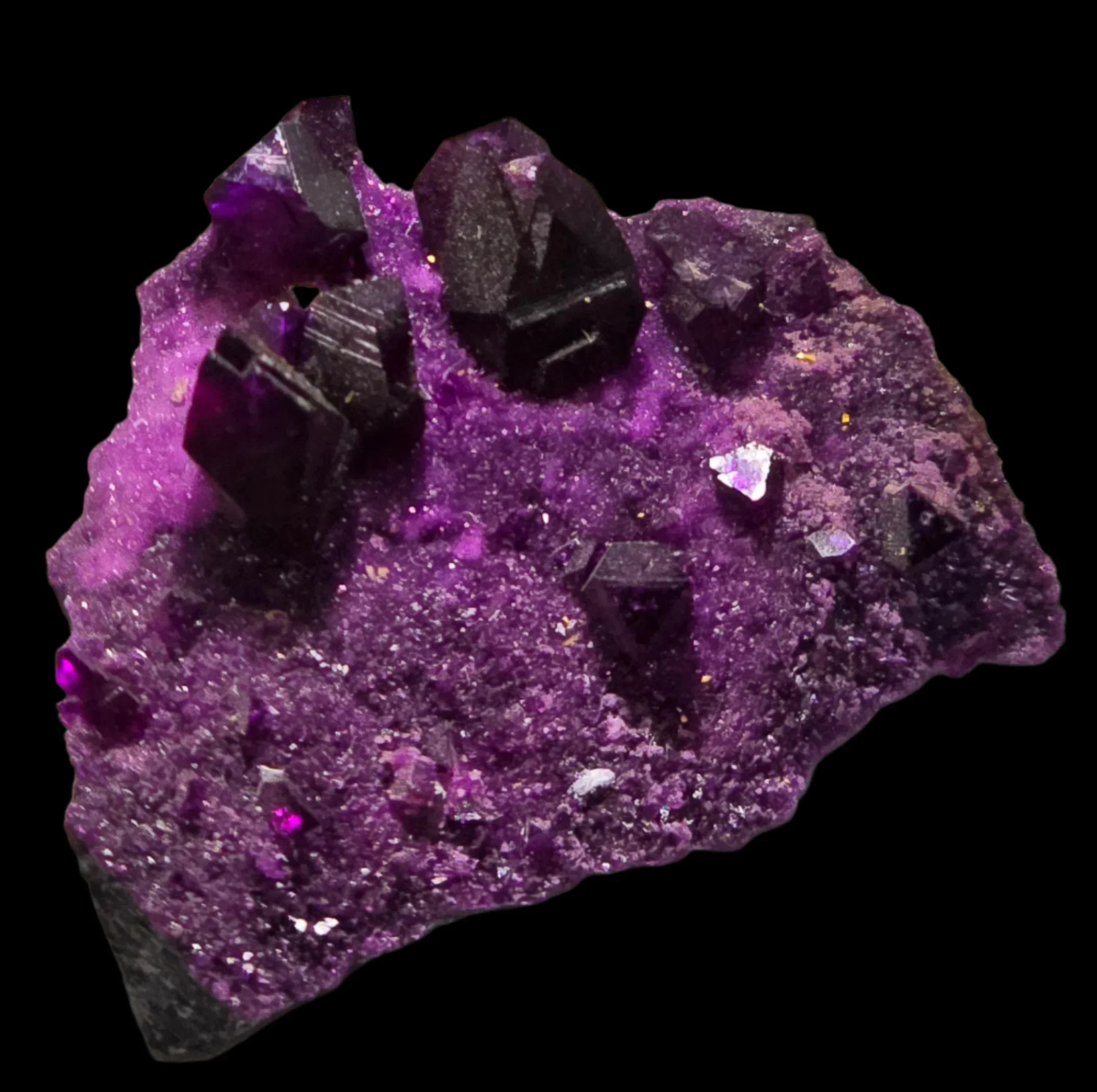 Fluorite crystal specimen with deep purple cubes on matrix, classic mineral collector piece