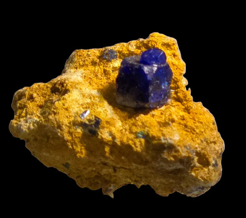 Vivid blue lapis lazuli crystal on golden matrix, mineral specimen from Afghanistan