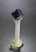 BOLEITE  SINGLE CRYSTAL 3.5 mm, AMELIA MINE SANTA ROSALIA BAJA CALIFORNIA MEXICO