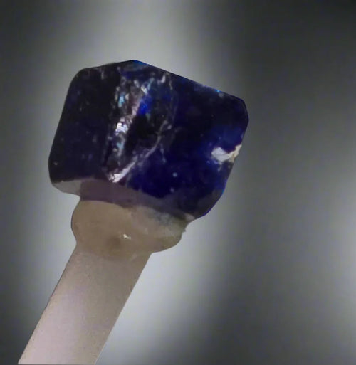 Sapphire crystal specimen mounted on display pin, deep blue with natural inclusions