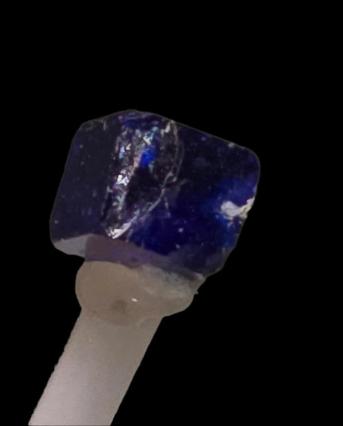 Sodalite mineral specimen with vibrant blue color and white veining, mounted on display stand