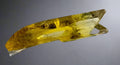 Yellow Topaz crystal specimen from Brazil, showcasing natural inclusions and gemmy clarity for collectors.