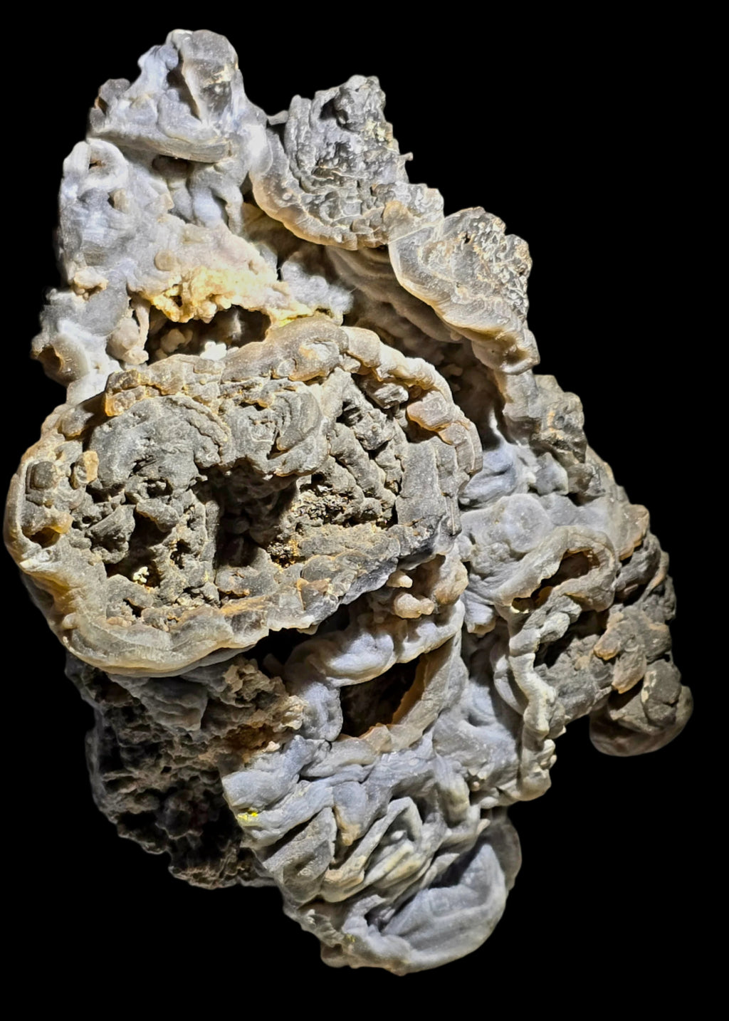 CHALCEDONY  (cabinet)