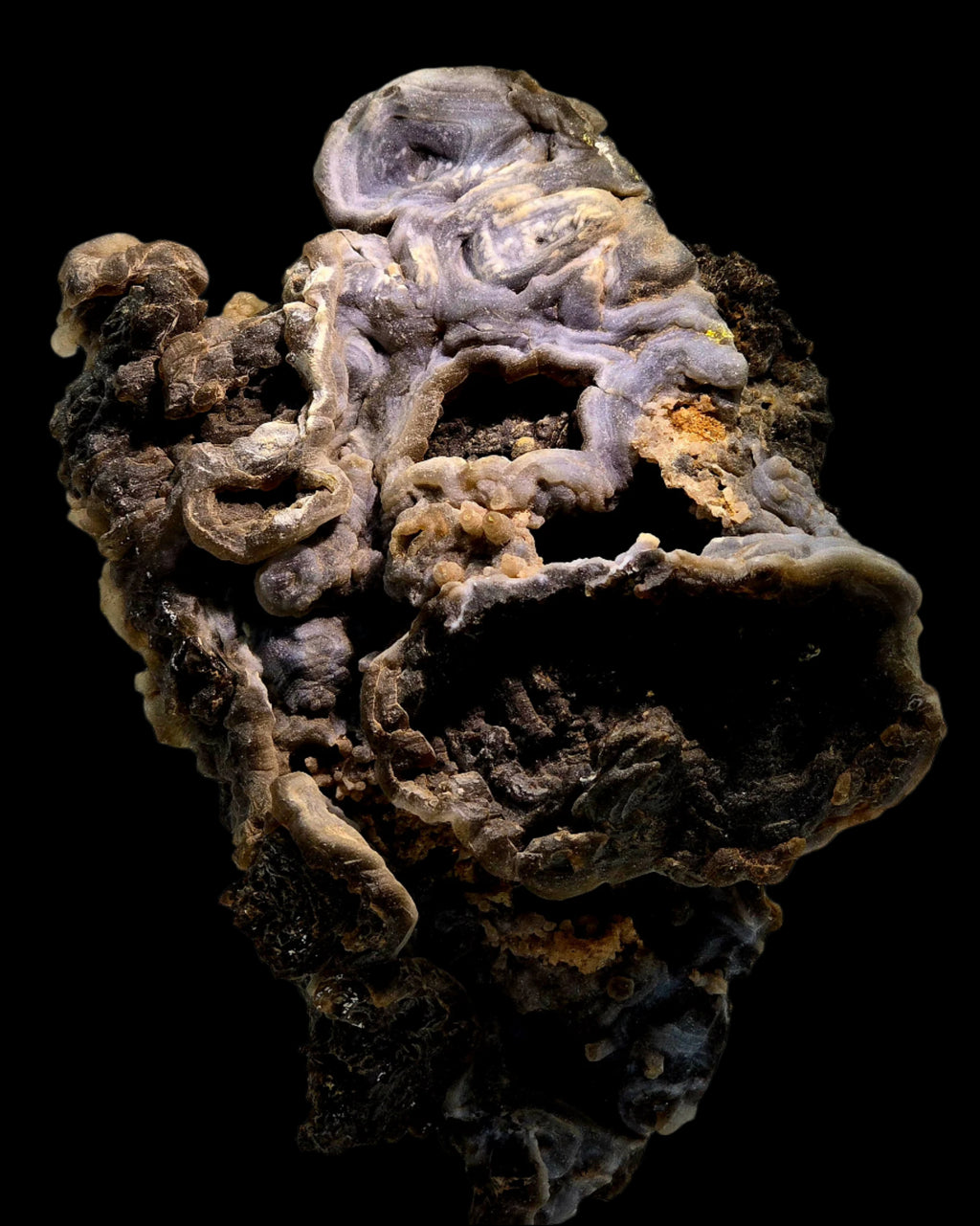 CHALCEDONY  (cabinet)