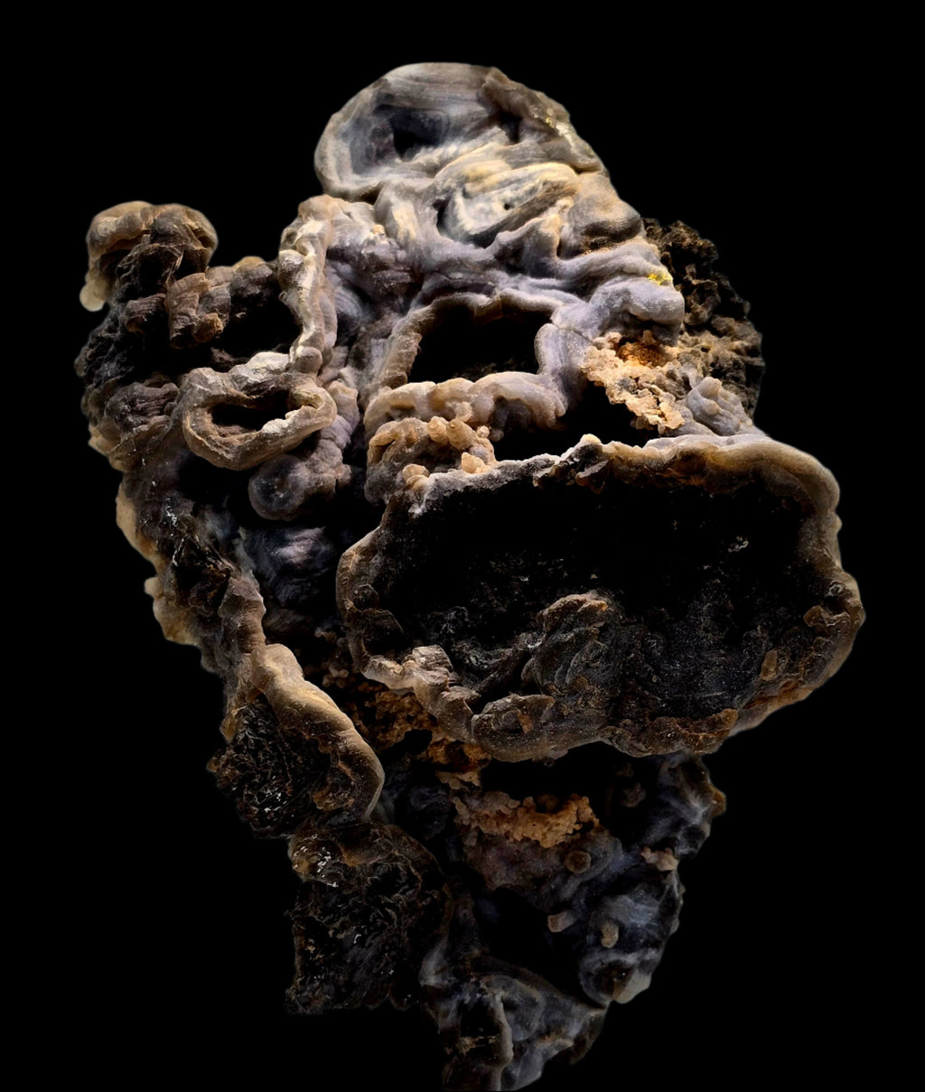 CHALCEDONY  (cabinet)