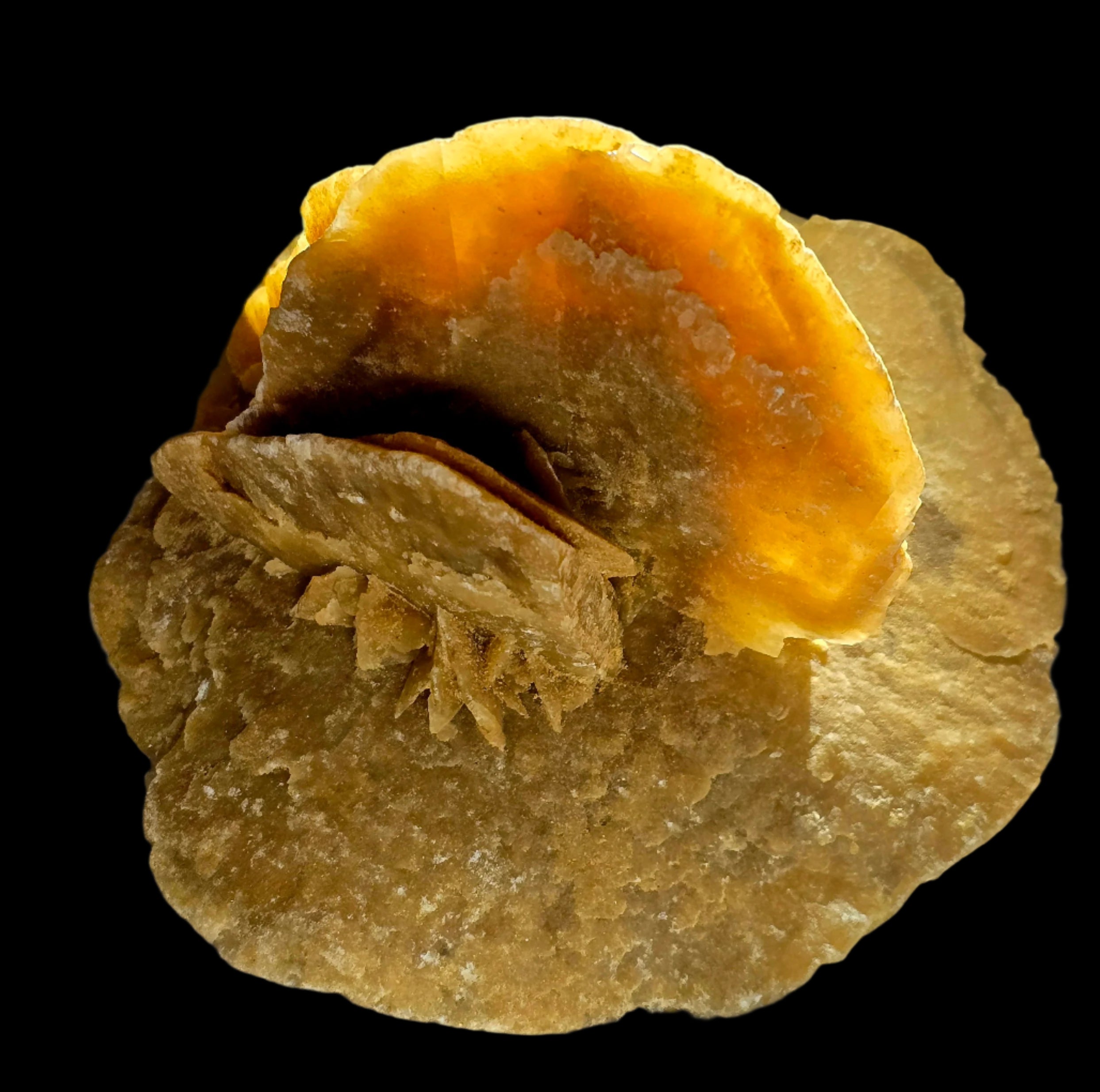 GYPSUM - ROSE DU DÉSERT, DÉSERT DU SAHARA MAROC (grande vitrine)