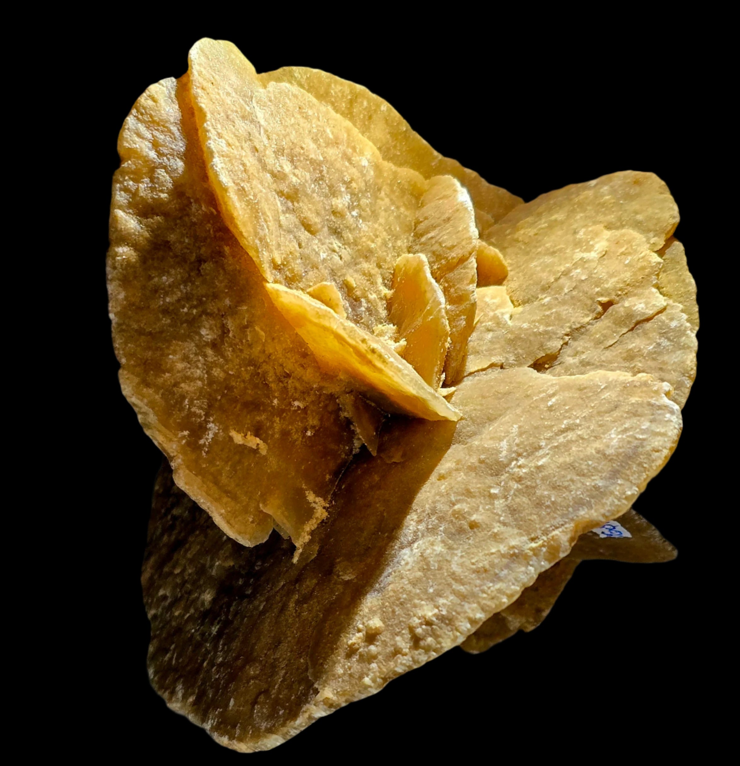 GYPSUM - ROSE DU DÉSERT, DÉSERT DU SAHARA MAROC (grande vitrine)