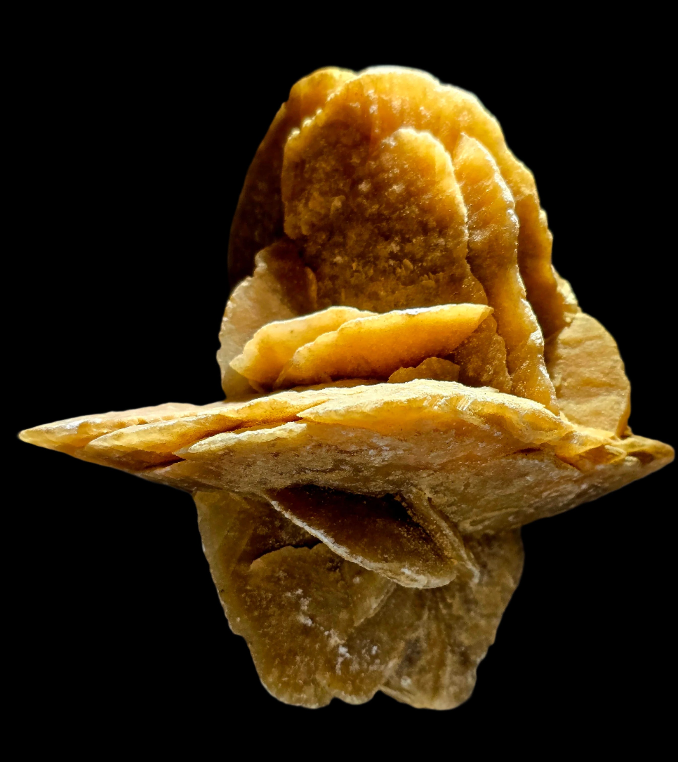 GYPSUM - ROSE DU DÉSERT, DÉSERT DU SAHARA MAROC (grande vitrine)