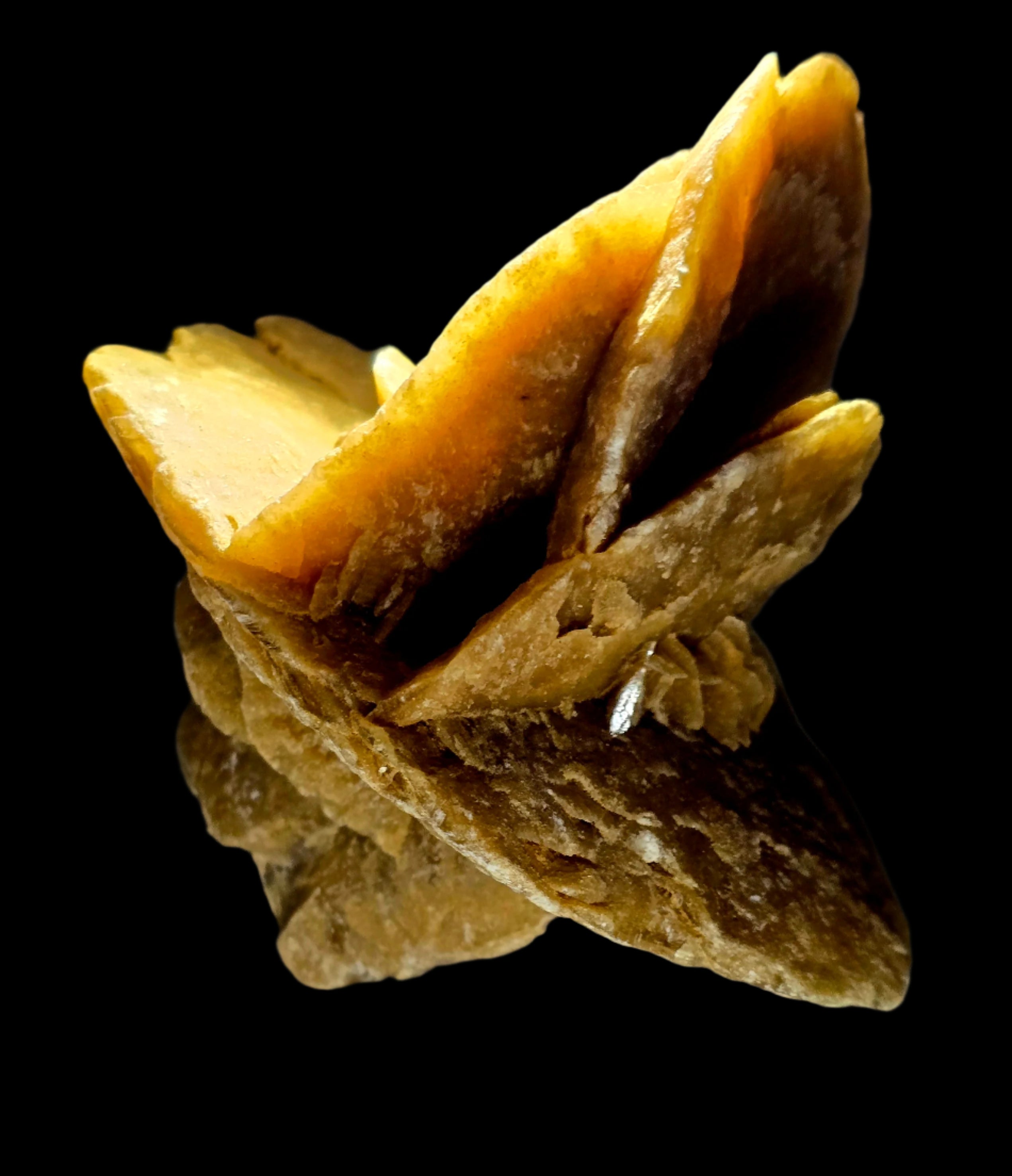 GYPSUM - ROSE DU DÉSERT, DÉSERT DU SAHARA MAROC (grande vitrine)