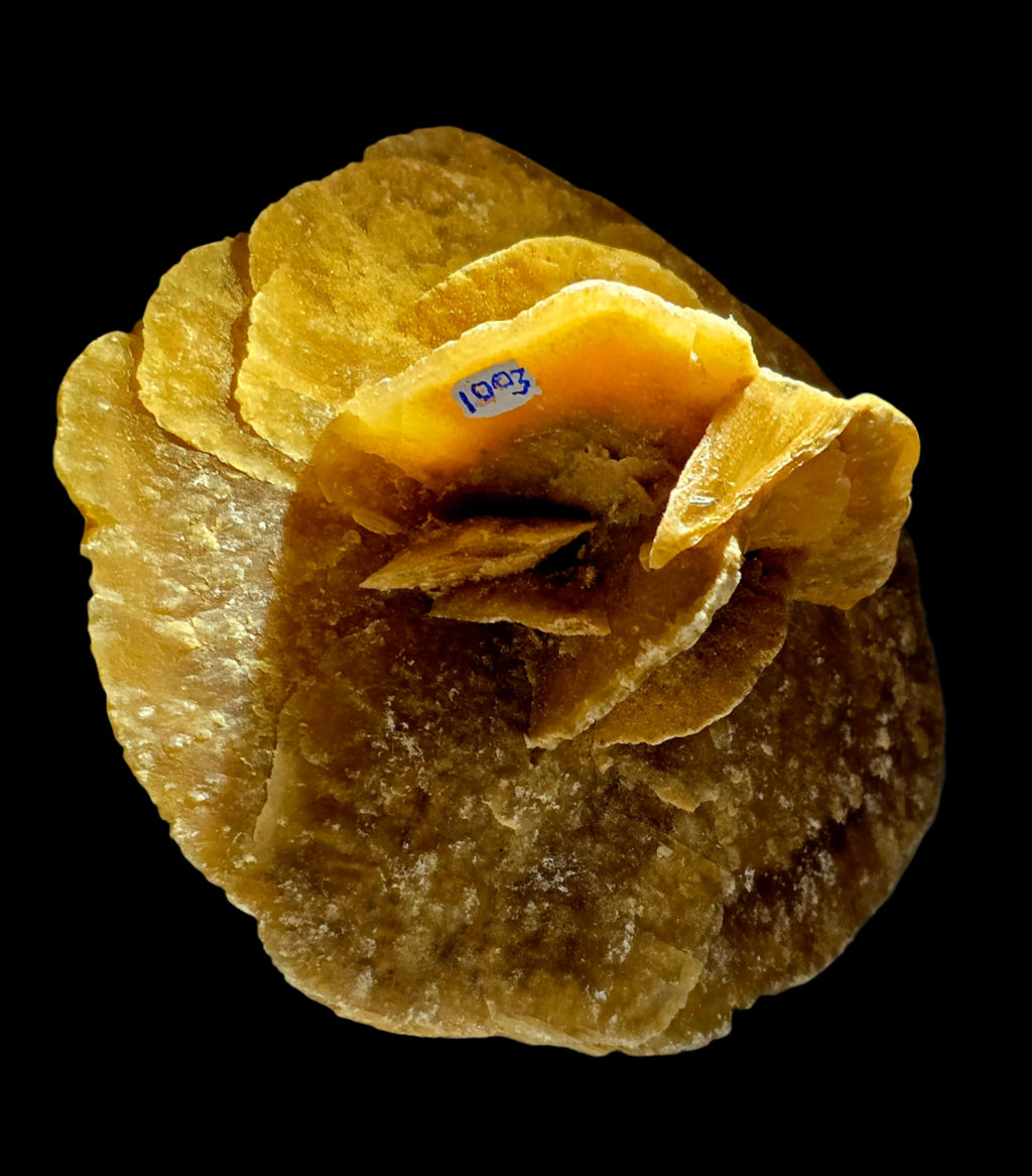 GYPSUM - ROSE DU DÉSERT, DÉSERT DU SAHARA MAROC (grande vitrine)