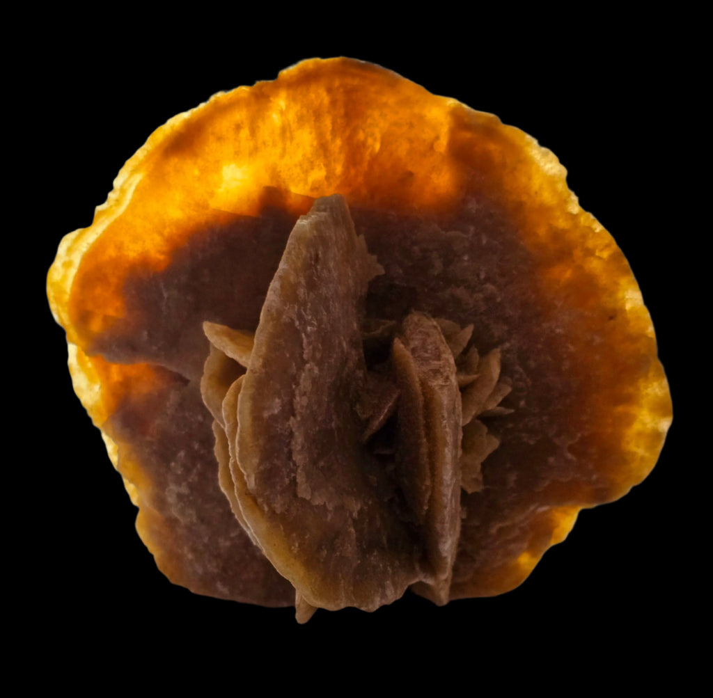 GYPSUM - ROSE DU DÉSERT, DÉSERT DU SAHARA MAROC (grande vitrine)