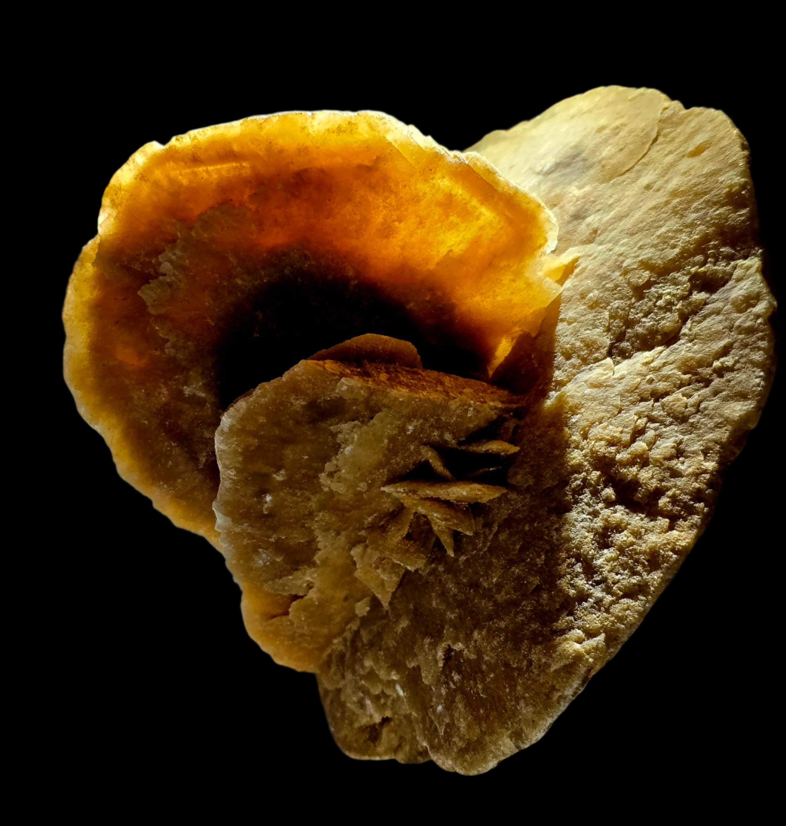 GYPSUM - ROSE DU DÉSERT, DÉSERT DU SAHARA MAROC (grande vitrine)