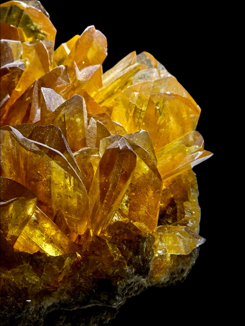 SELENITE - GYPSUM (large cabinet)