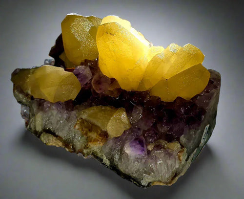 Calcite on Amethyst specimen from classic locality, vibrant yellow crystals over purple matrix
