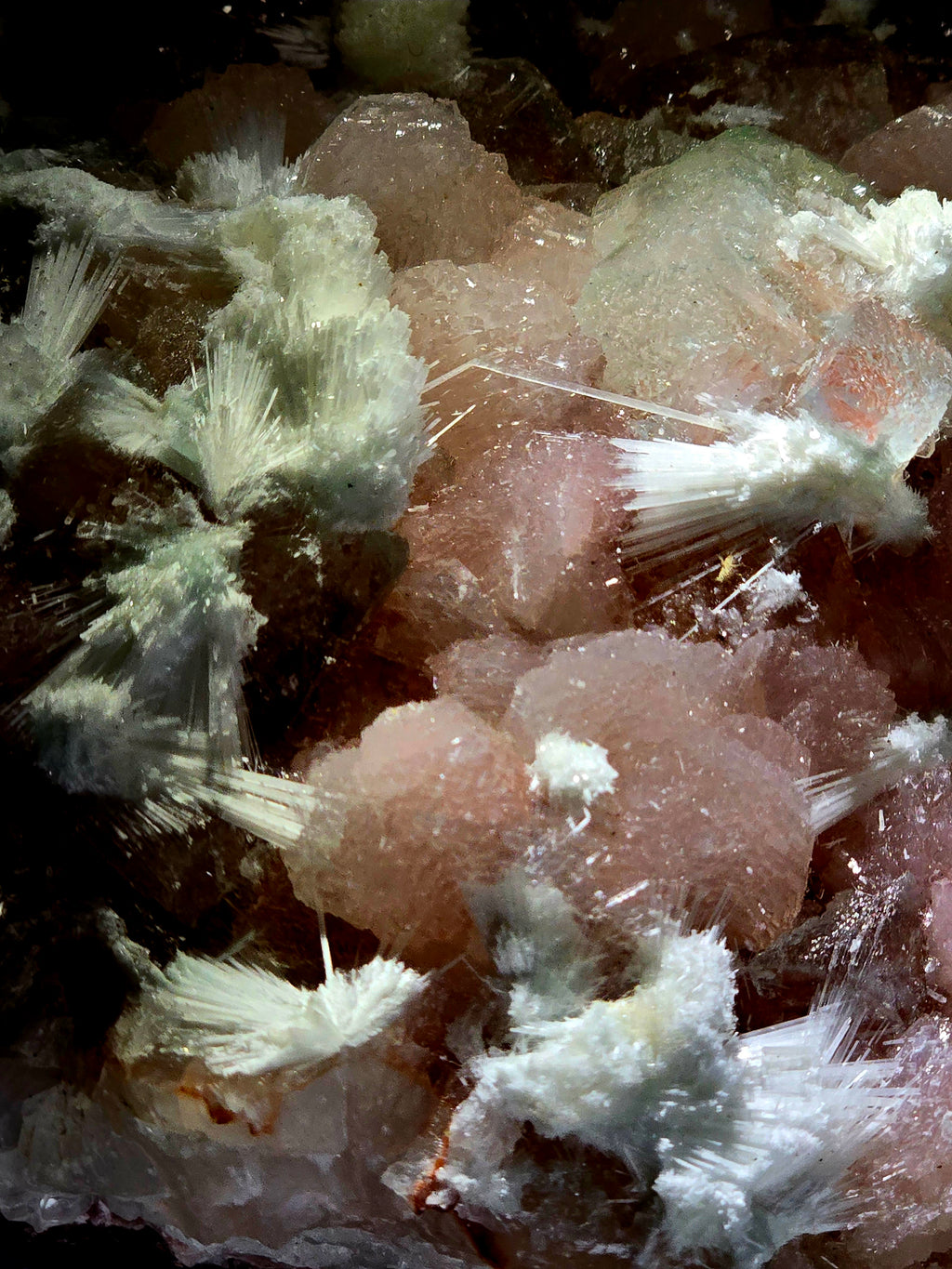 APOPHILLITE with STILBITE and NATROLITE (large cabinet)