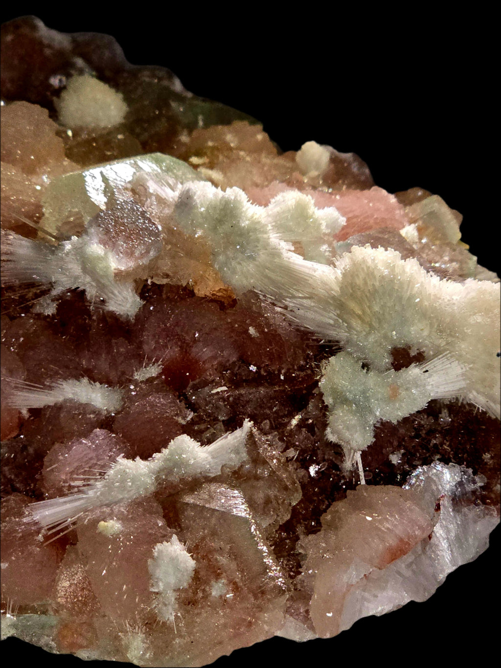 APOPHILLITE with STILBITE and NATROLITE (large cabinet)