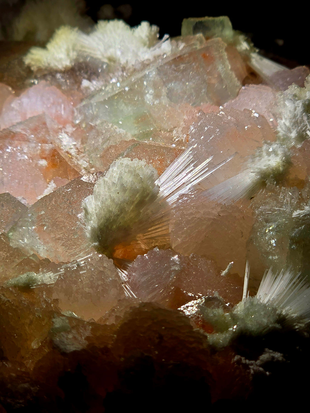 APOPHILLITE with STILBITE and NATROLITE (large cabinet)