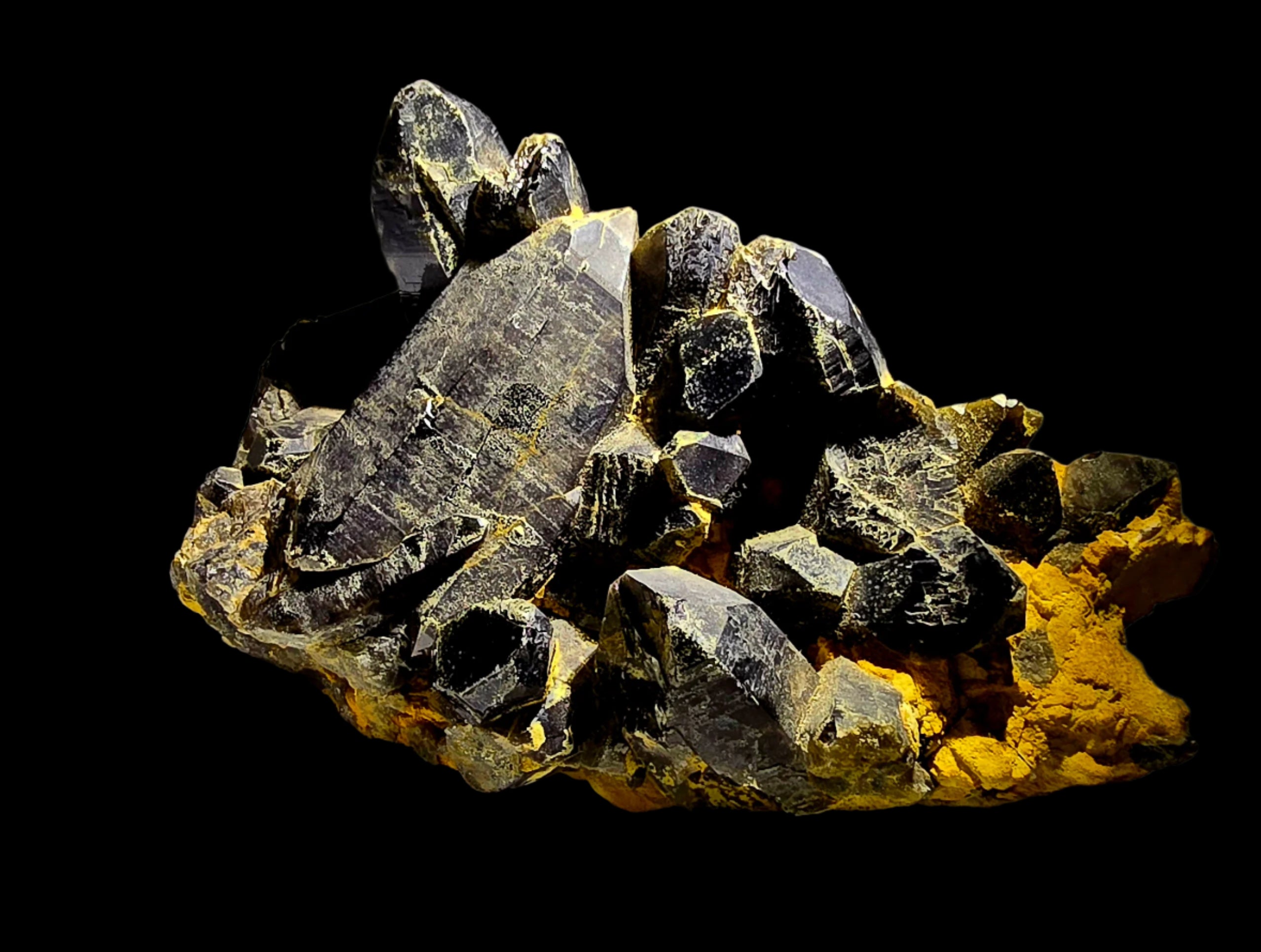 QUARTZ SMOKEY (MORION)  (LARGE CABINET)