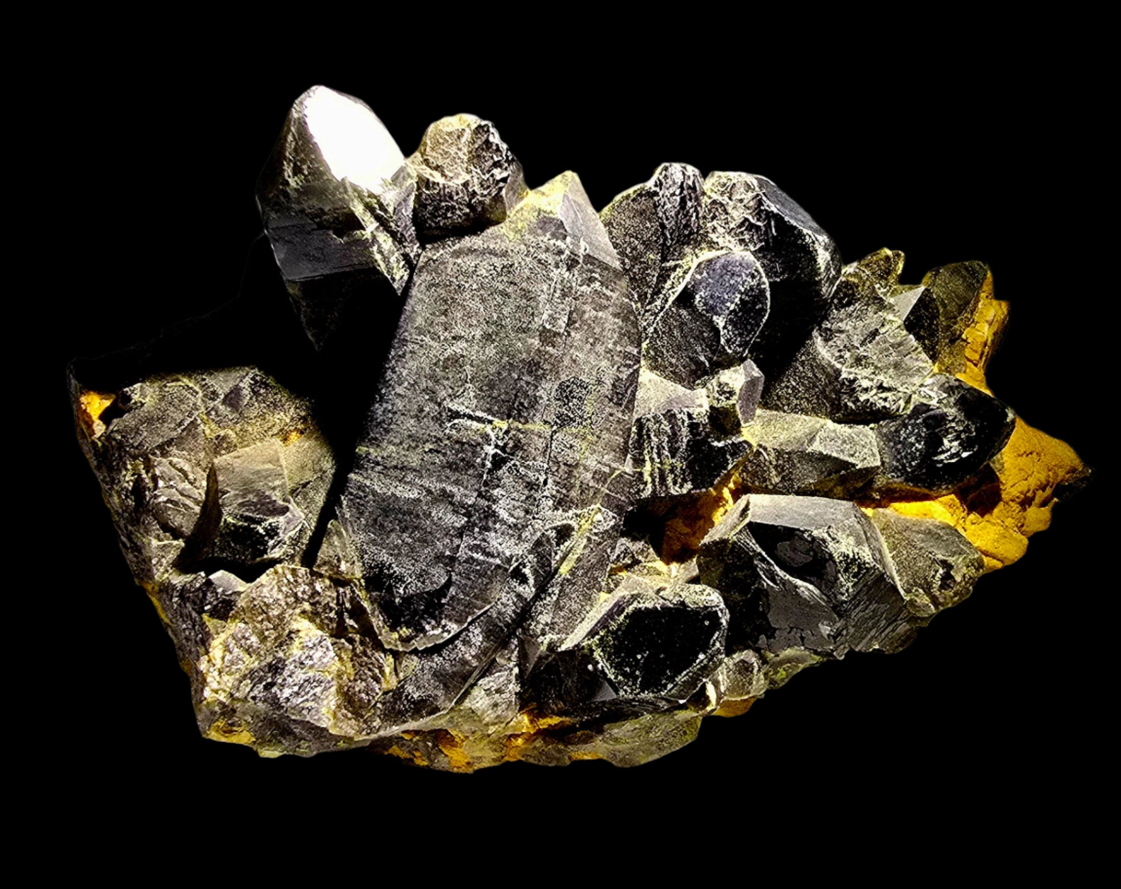 QUARTZ SMOKEY (MORION)  (LARGE CABINET)