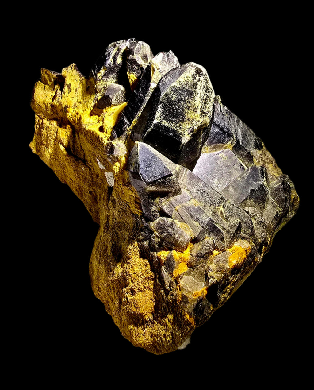 QUARTZ SMOKEY (MORION)  (LARGE CABINET)