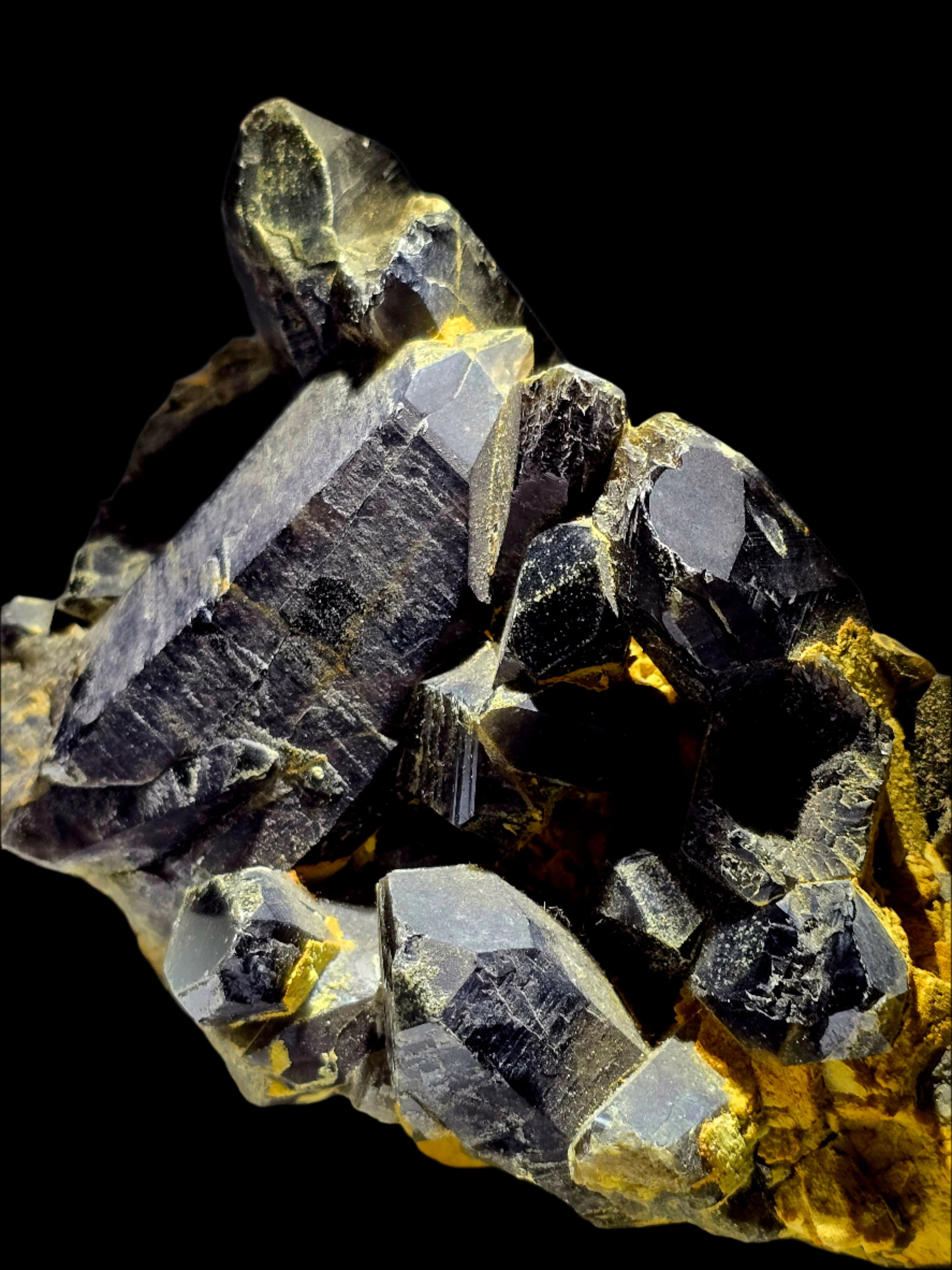 QUARTZ SMOKEY (MORION)  (LARGE CABINET)