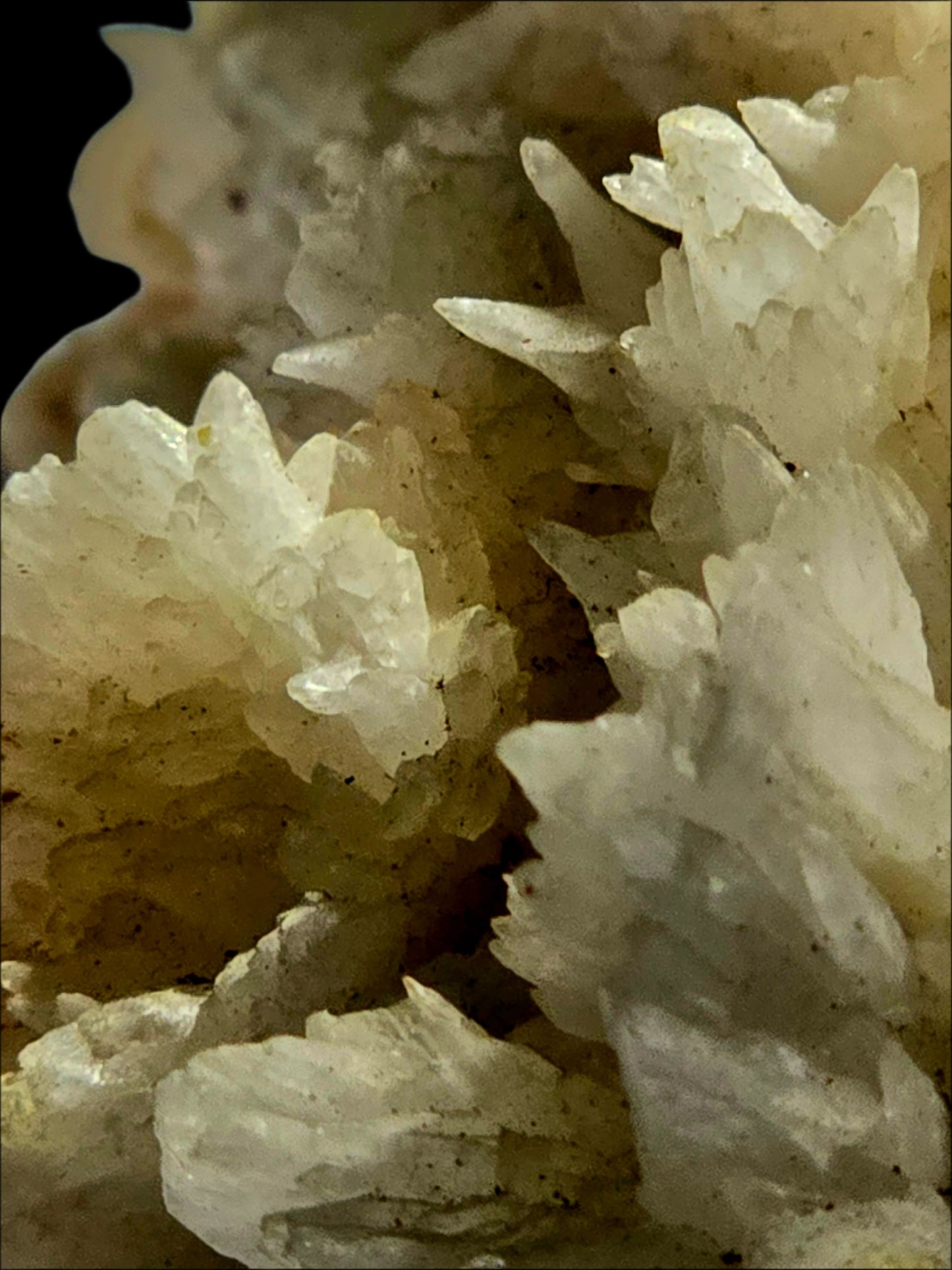 ARAGONITE (LARGE CABINET)