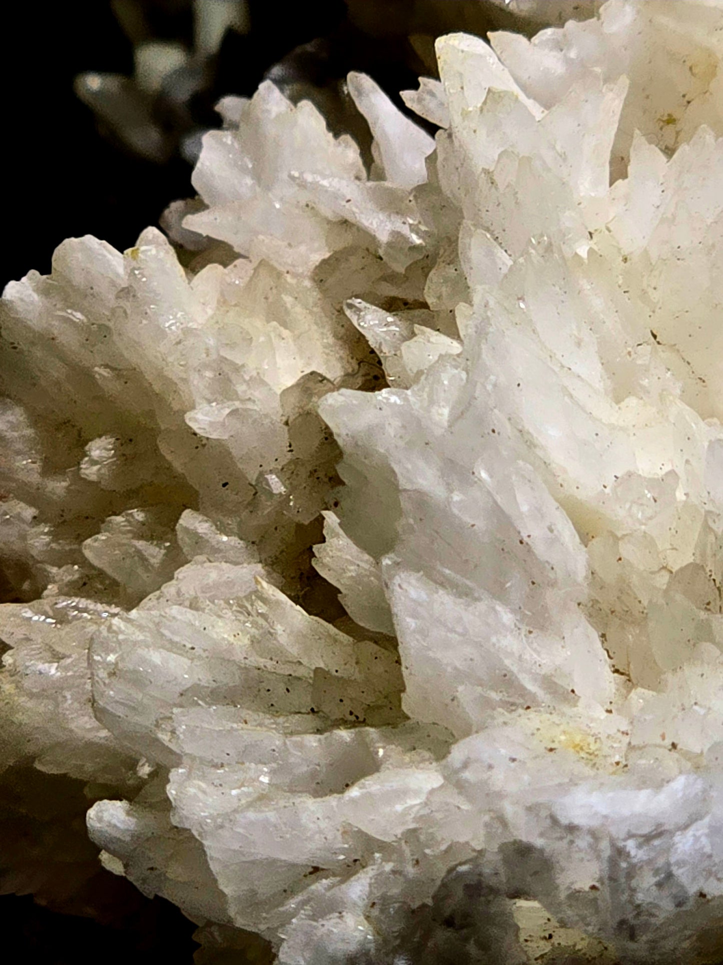 ARAGONITE (LARGE CABINET)