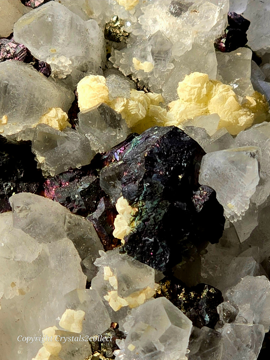 CHALCOPYRITE, SPHALERITE, PYRITE, QUARTZ, CALCITE (large cabinet)