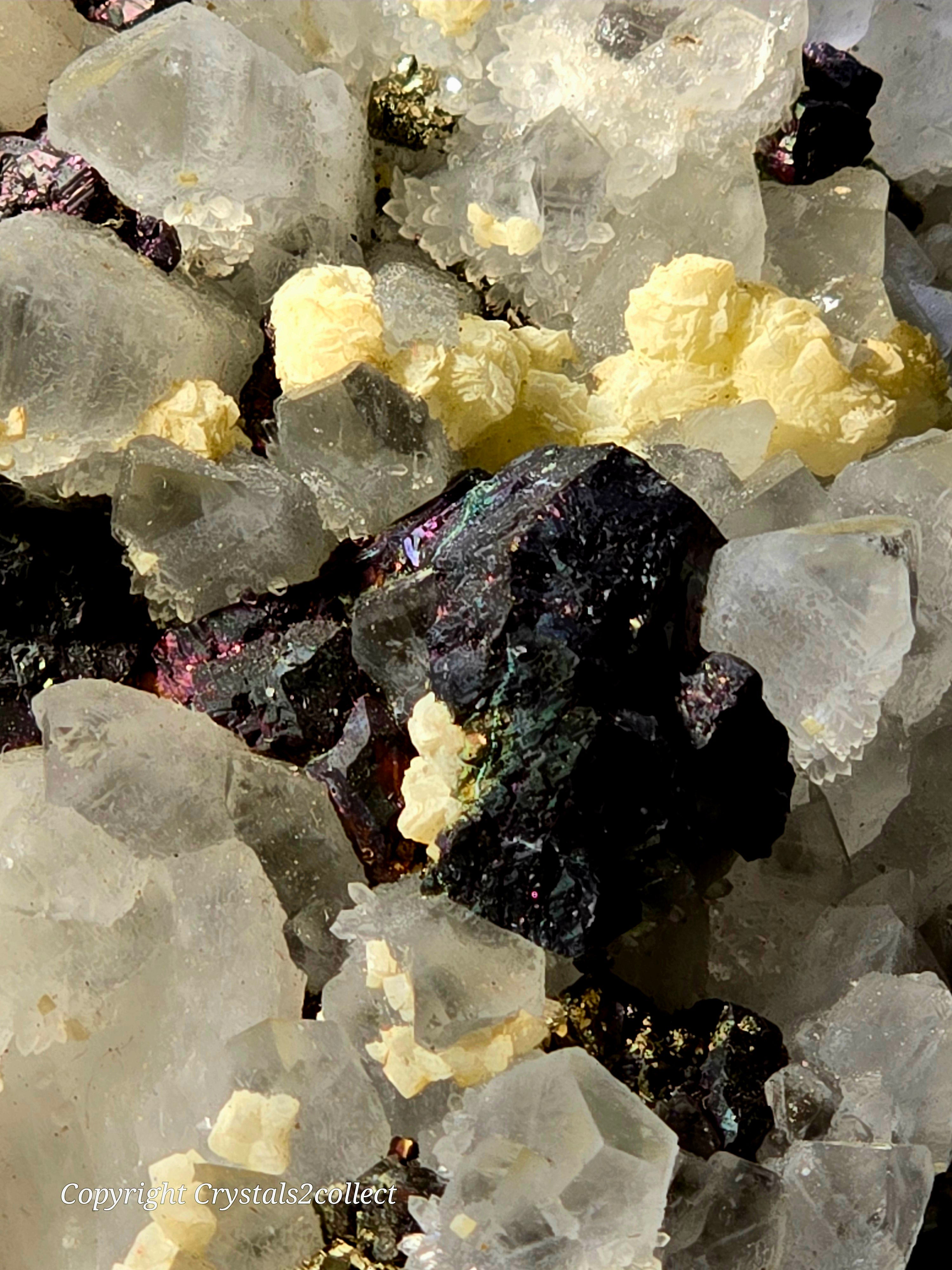 CHALCOPYRITE, SPHALERITE, PYRITE, QUARTZ, CALCITE (large cabinet)