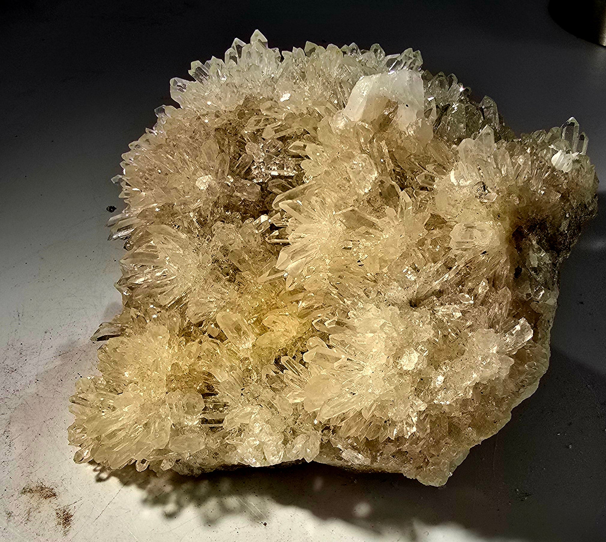 QUARTZ  Crystal clear flowers of needle quartz (LARGE CABINET)