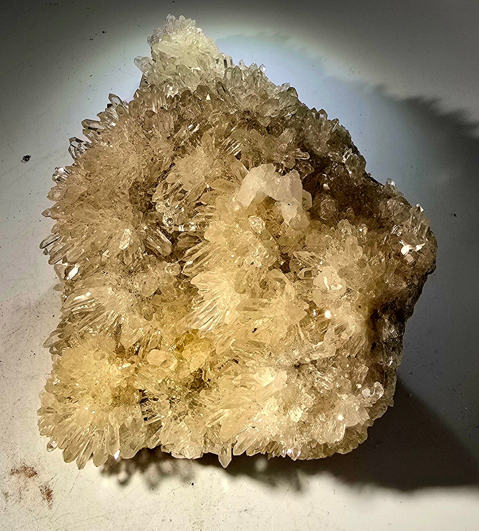 QUARTZ  Crystal clear flowers of needle quartz (LARGE CABINET)