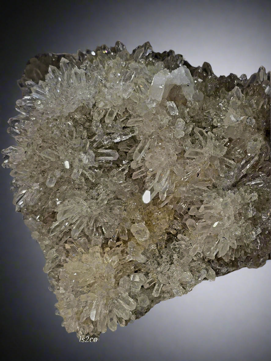 QUARTZ  Crystal clear flowers of needle quartz (LARGE CABINET)