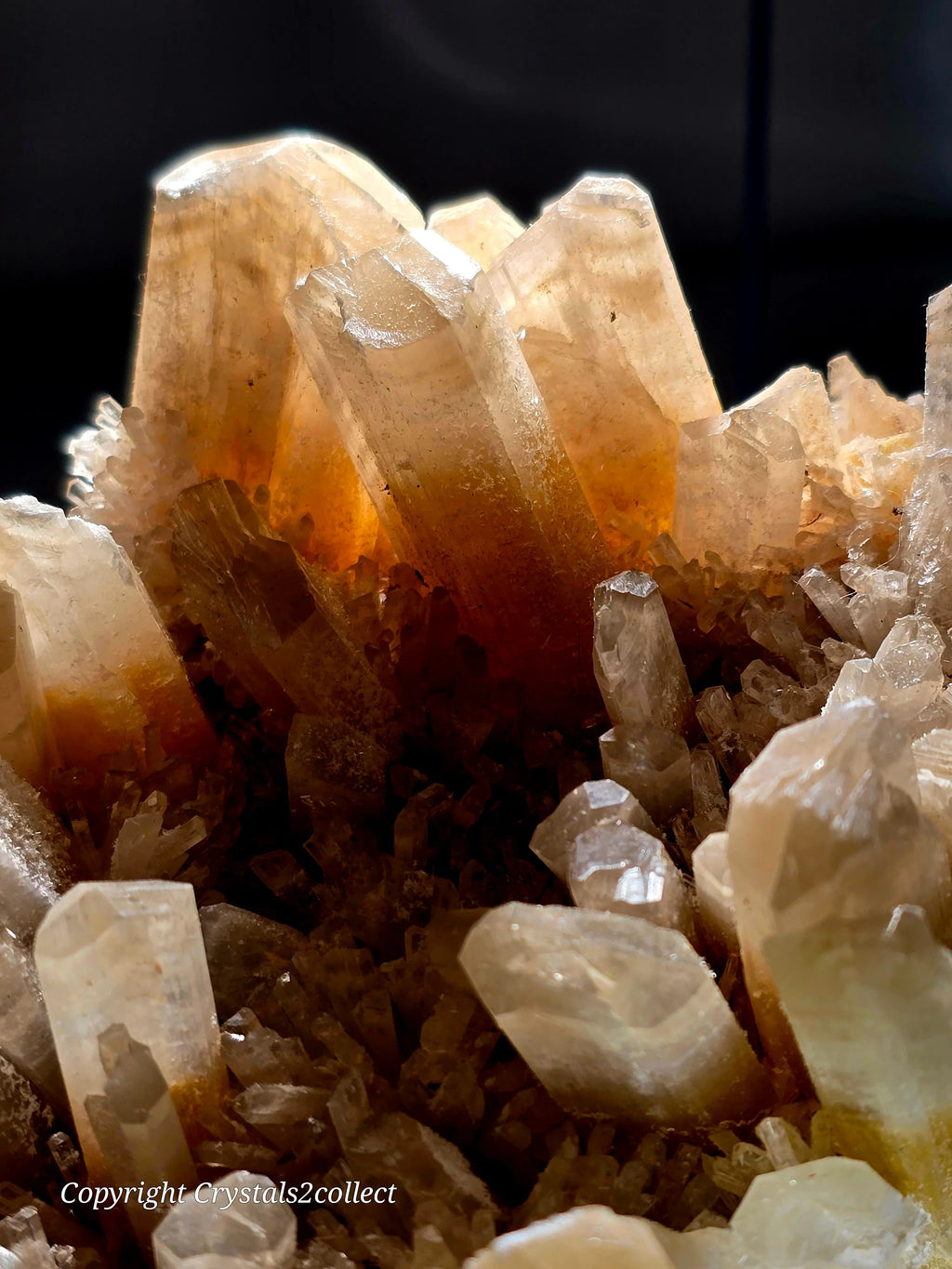 Citrine Quartz Crystal Cluster from Brazil, natural mineral specimen with golden-yellow points and clear terminations