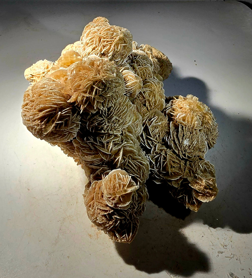 GYPSUM-DESERT ROSE SAHARA DESERT (large cabinet)