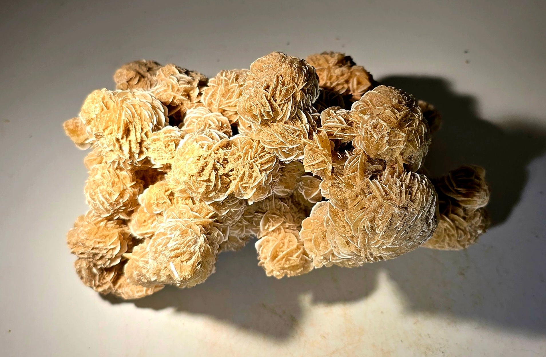 GYPSUM-DESERT ROSE SAHARA DESERT (large cabinet)