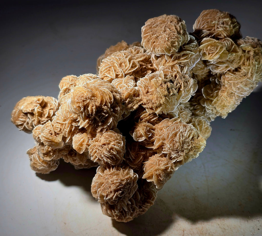 GYPSUM-DESERT ROSE SAHARA DESERT (large cabinet)