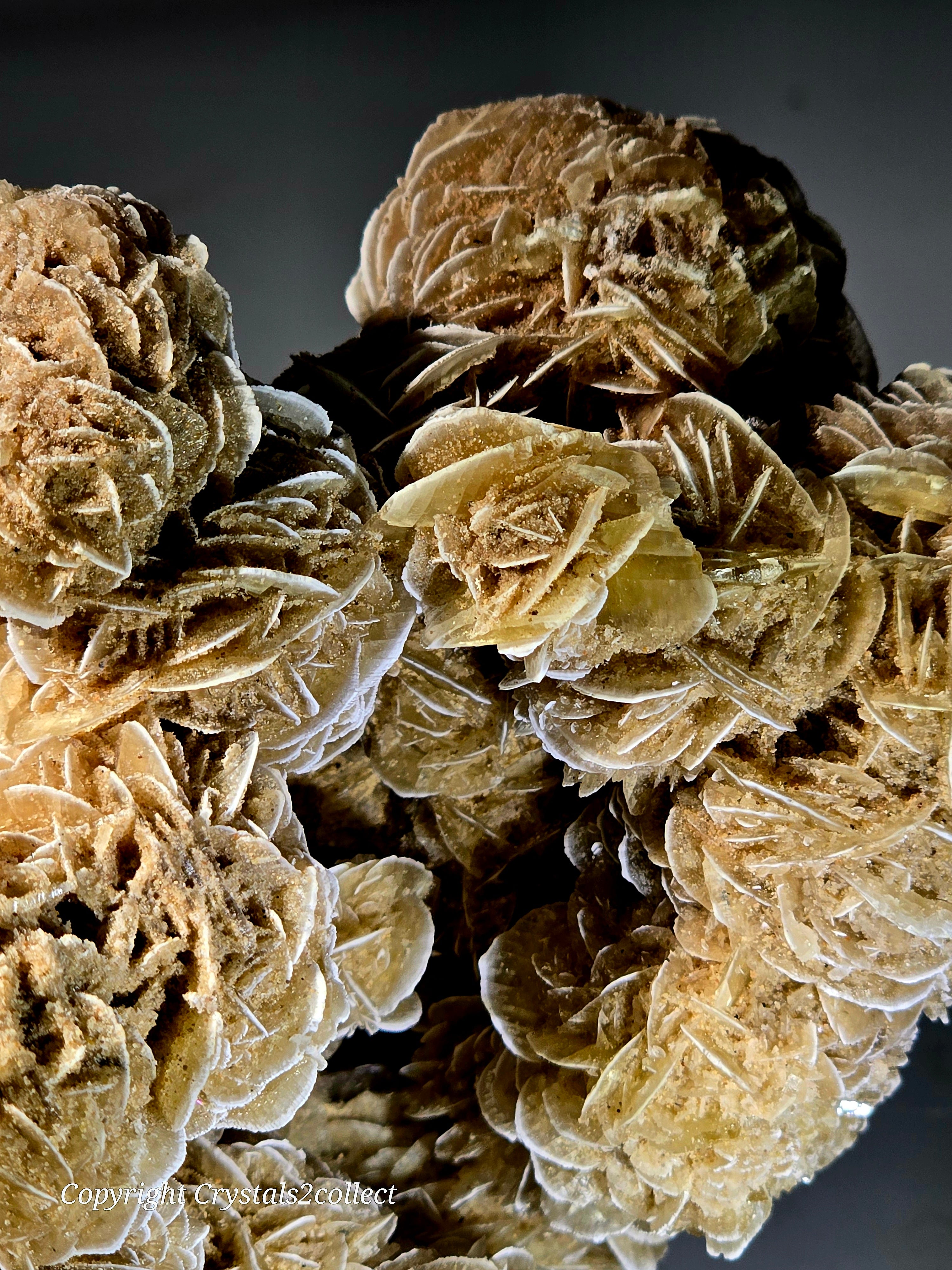 GYPSUM-DESERT ROSE SAHARA DESERT (large cabinet)