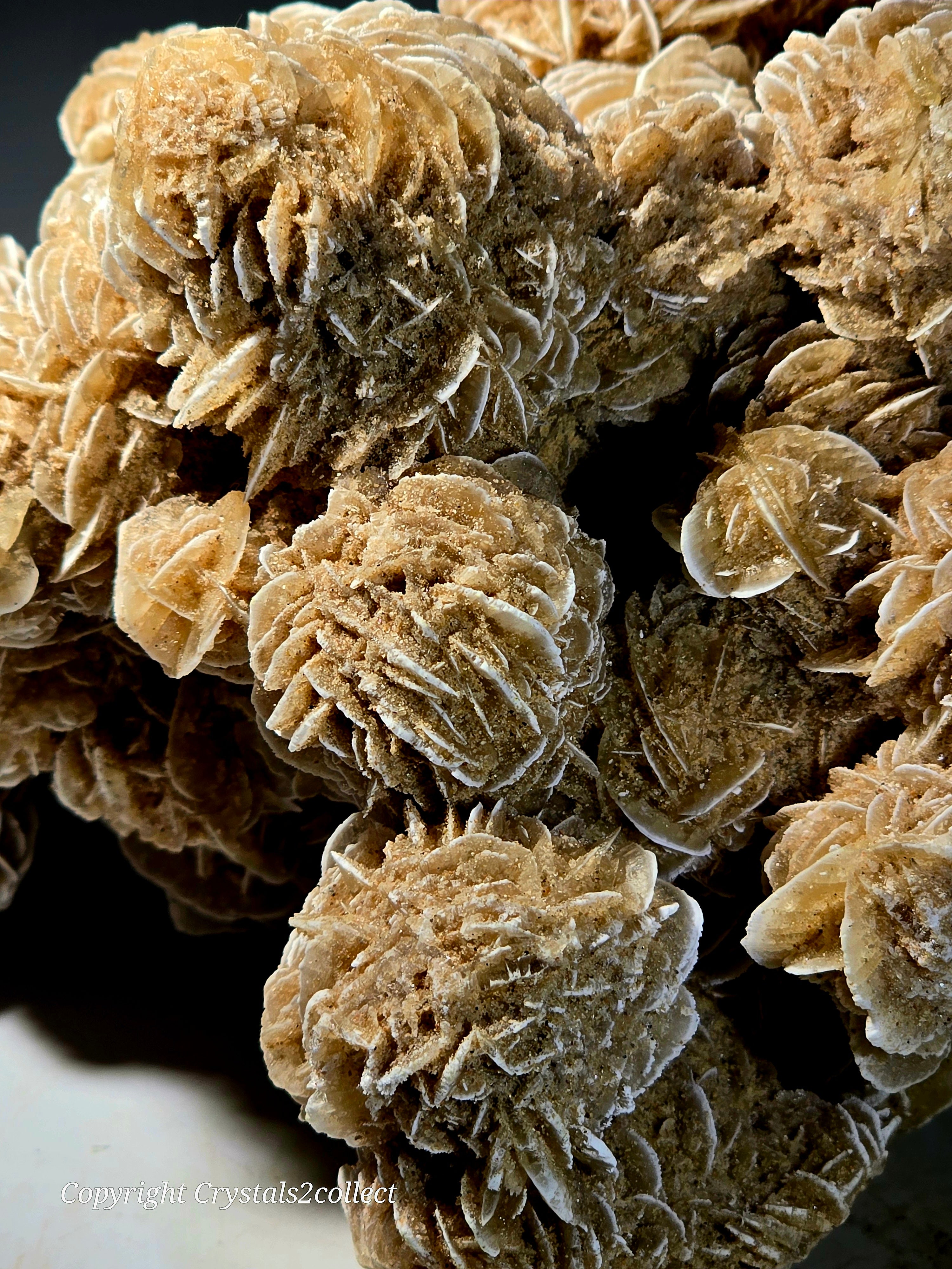 GYPSUM-DESERT ROSE SAHARA DESERT (large cabinet)