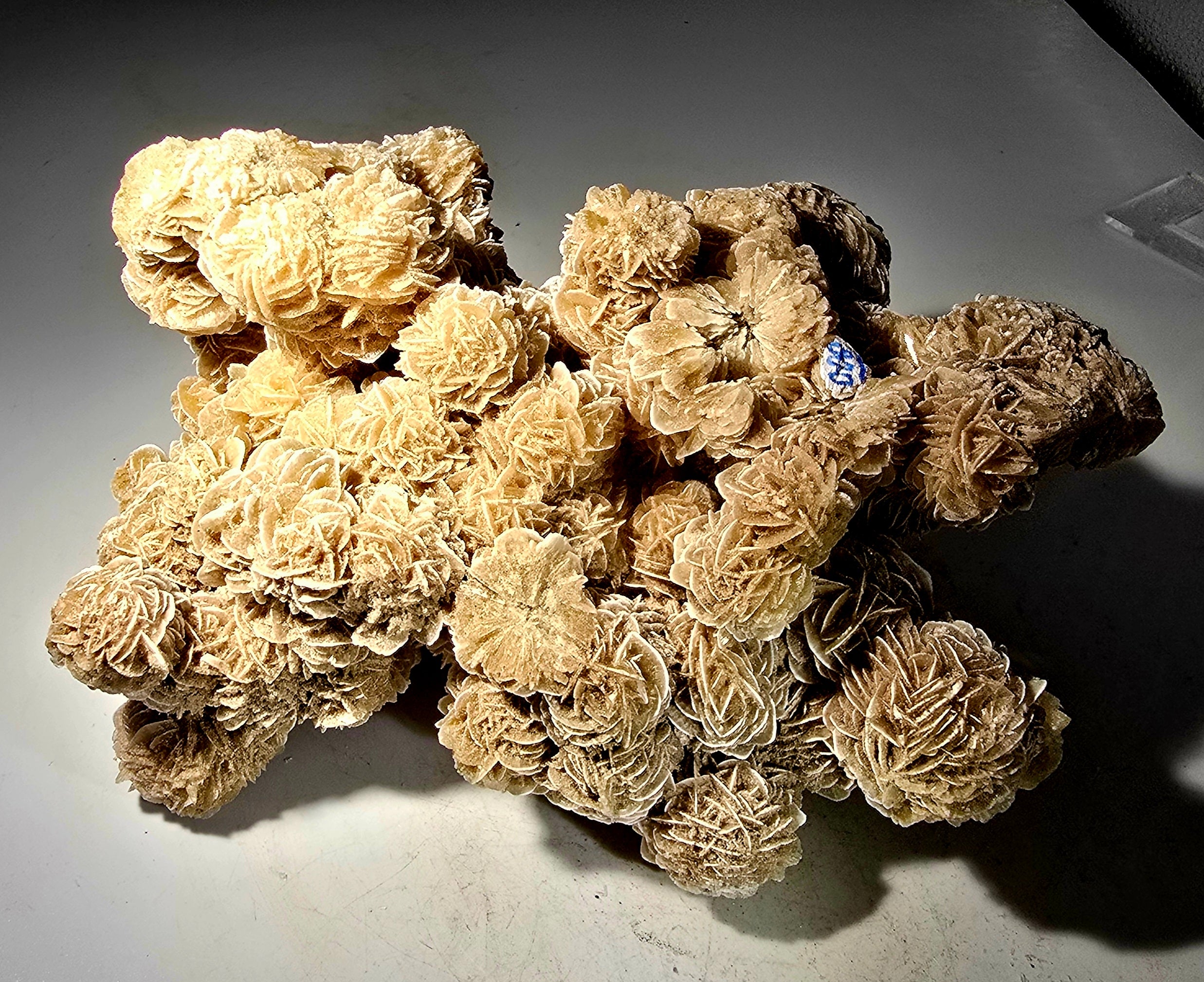 GYPSUM-DESERT ROSE SAHARA DESERT (large cabinet)