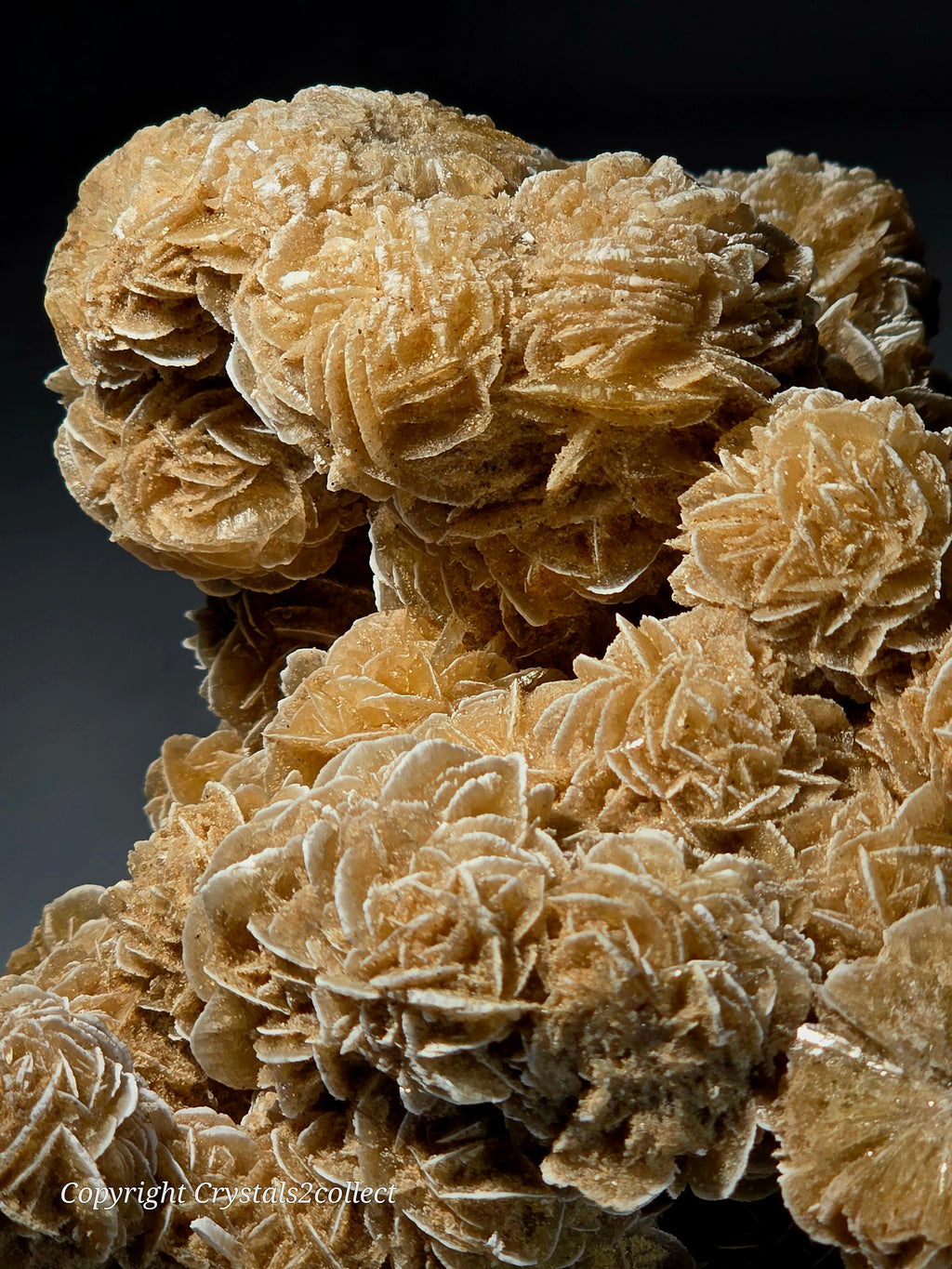 GYPSUM-DESERT ROSE SAHARA DESERT (large cabinet)
