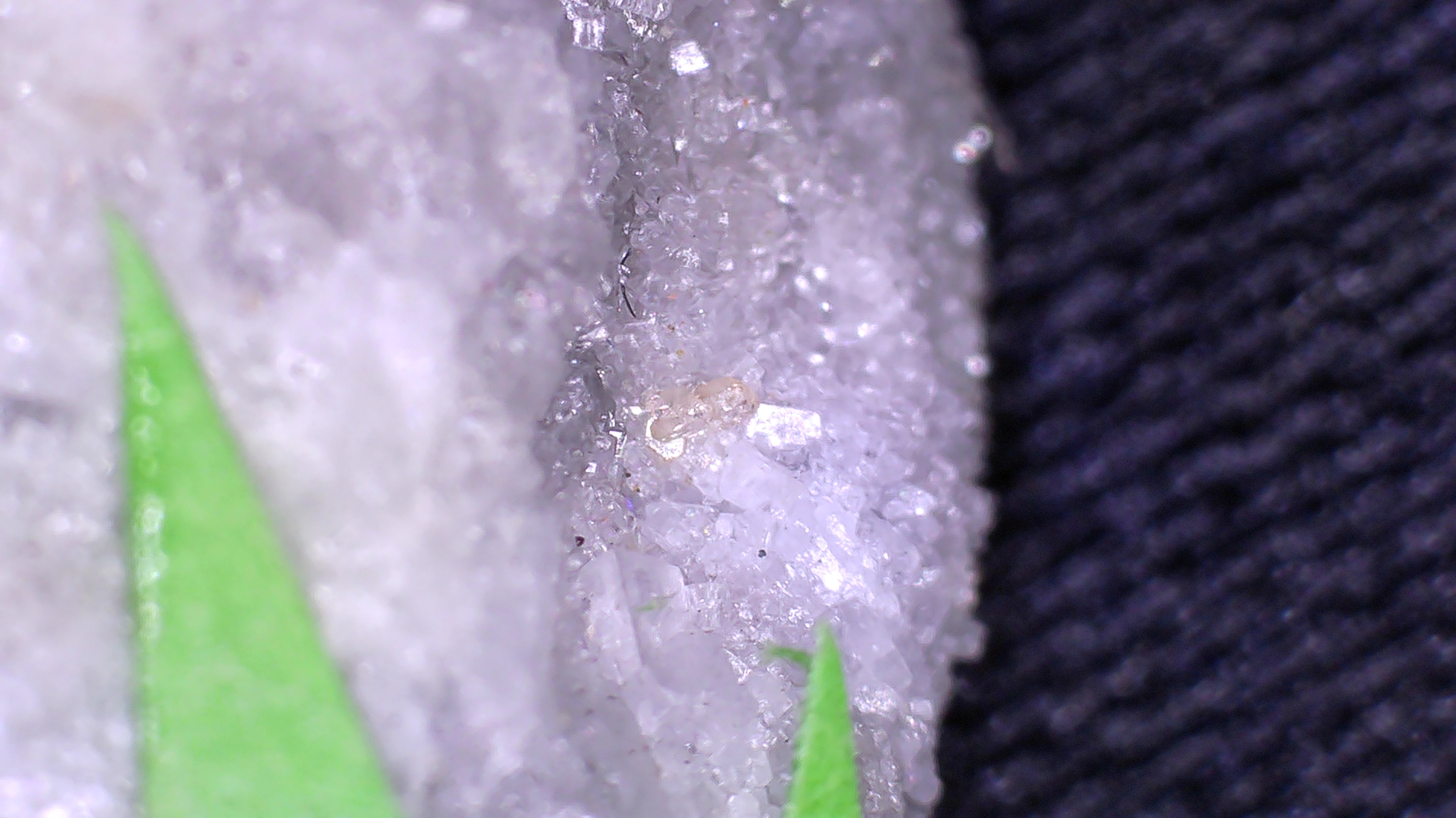 GORCEIXITE with RUTILE (micro and miniature)