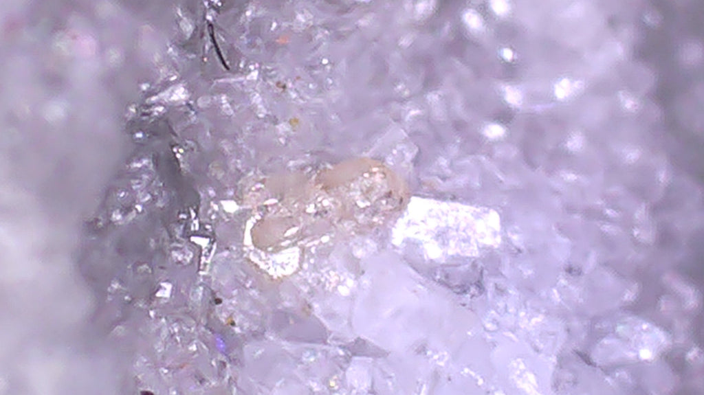 GORCEIXITE with RUTILE (micro and miniature)