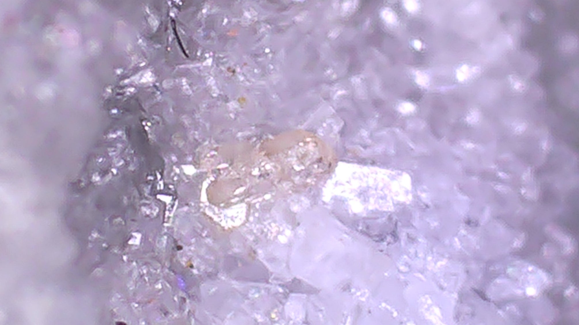 GORCEIXITE with RUTILE (micro and miniature)