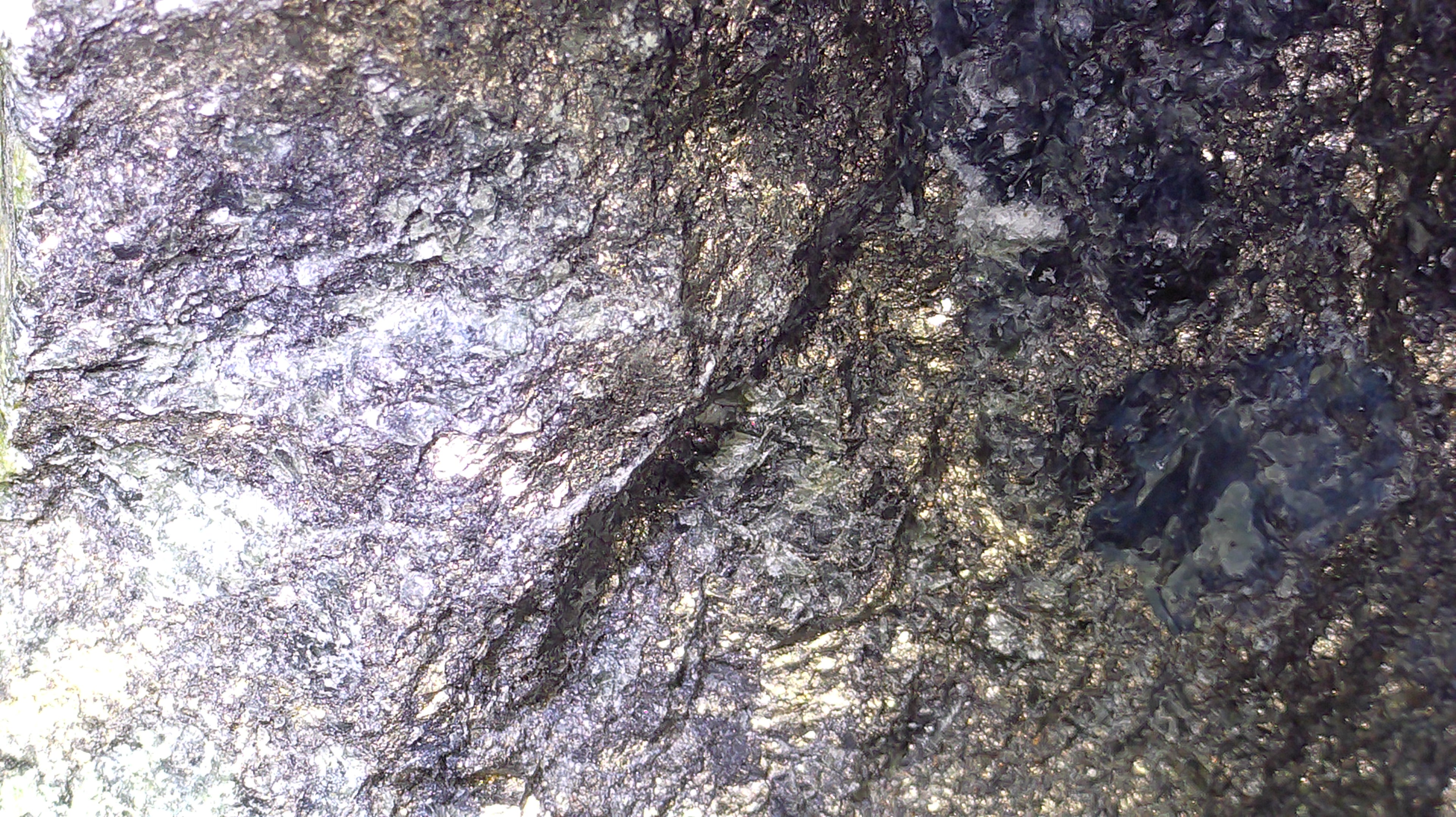 CALAVERITE (GOLD-TELLURIDE) (miniature)