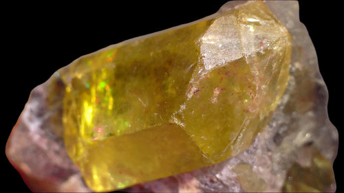 Yellow Opal Specimen with Iridescent Play-of-Color, Natural Mineral Collectible