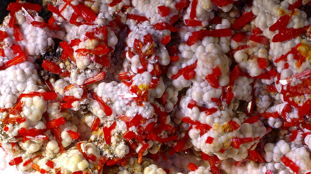 CROCOITE with DUNDASITE (miniature)