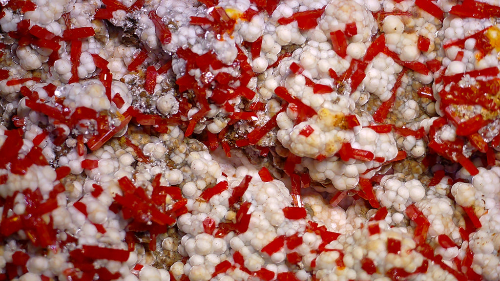 CROCOITE with DUNDASITE (miniature)